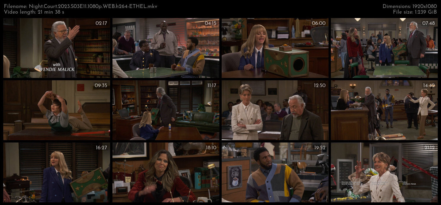 Night Court 2023 S03E11 1080p WEB h264 ETHEL TGx