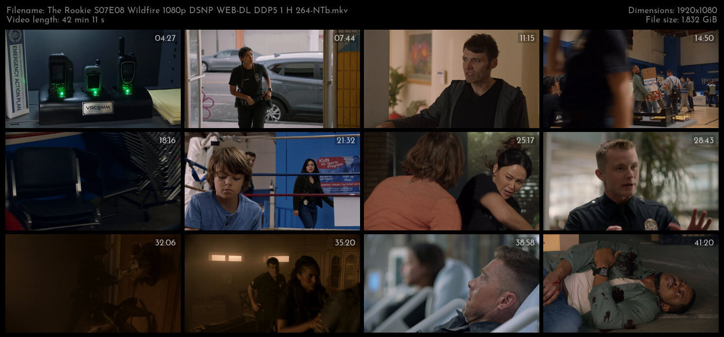 The Rookie S07E08 Wildfire 1080p DSNP WEB DL DDP5 1 H 264 NTb TGx