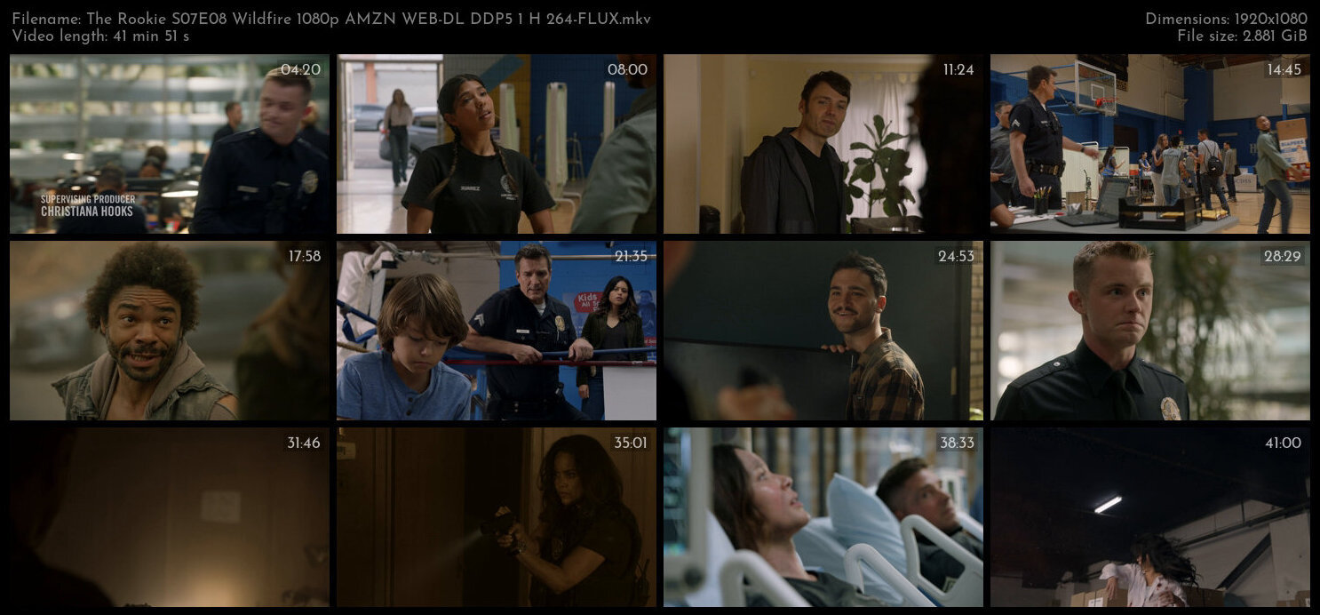 The Rookie S07E08 Wildfire 1080p AMZN WEB DL DDP5 1 H 264 FLUX TGx