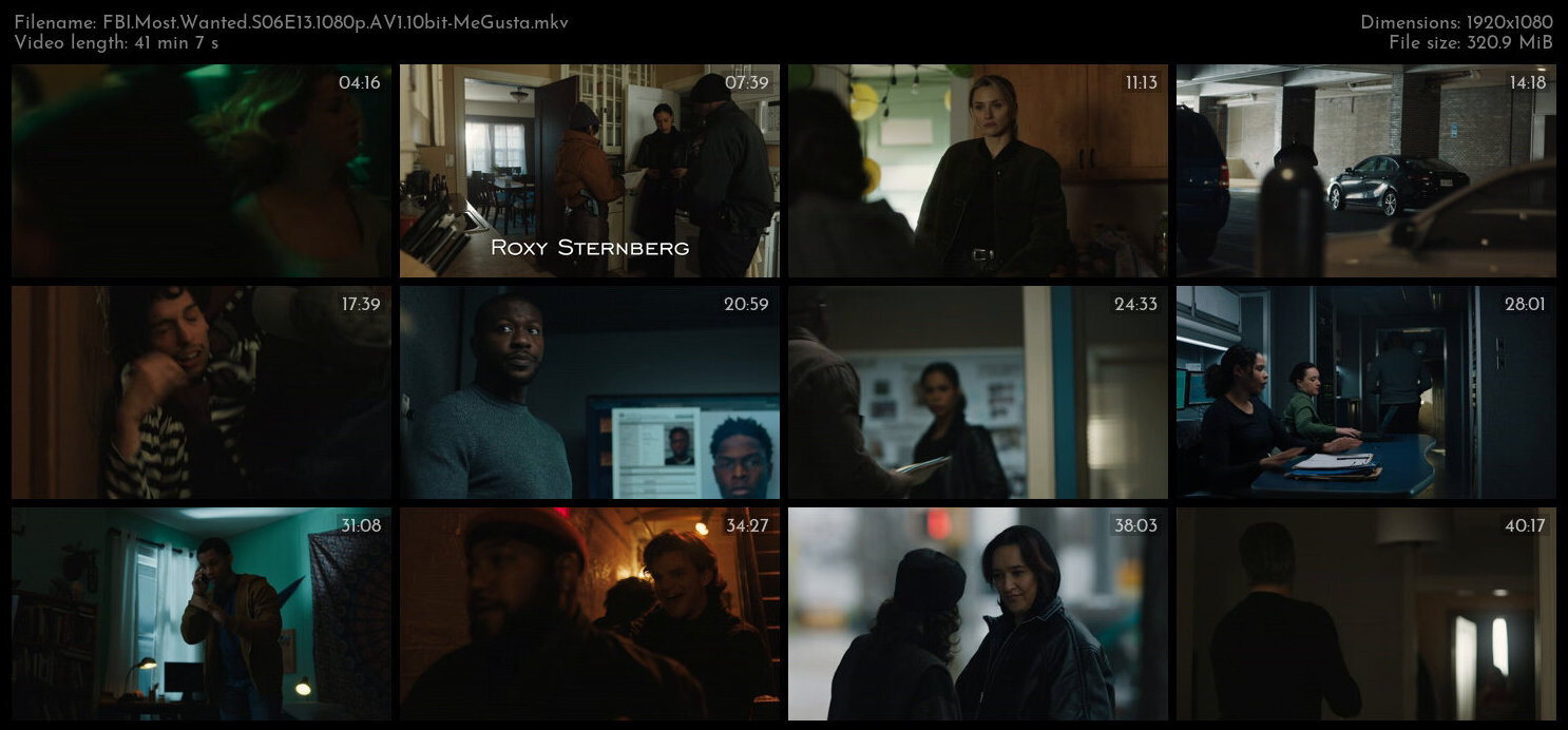 FBI Most Wanted S06E13 1080p AV1 10bit MeGusta TGx