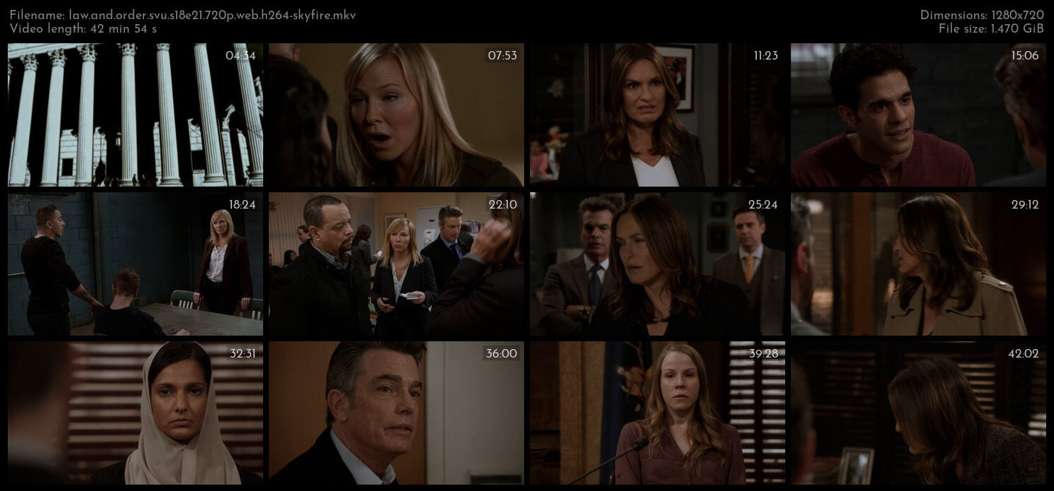 Law And Order SVU S18E21 720p WEB H264 SKYFiRE TGx