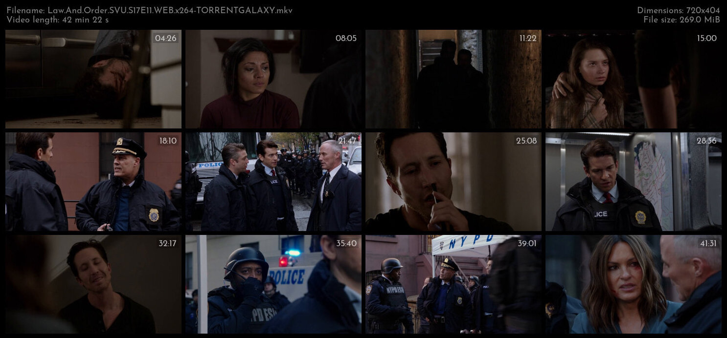 Law And Order SVU S17E11 WEB x264 TORRENTGALAXY