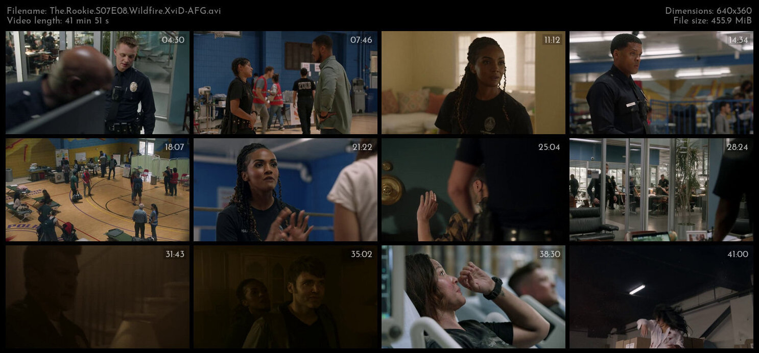 The Rookie S07E08 Wildfire XviD AFG TGx