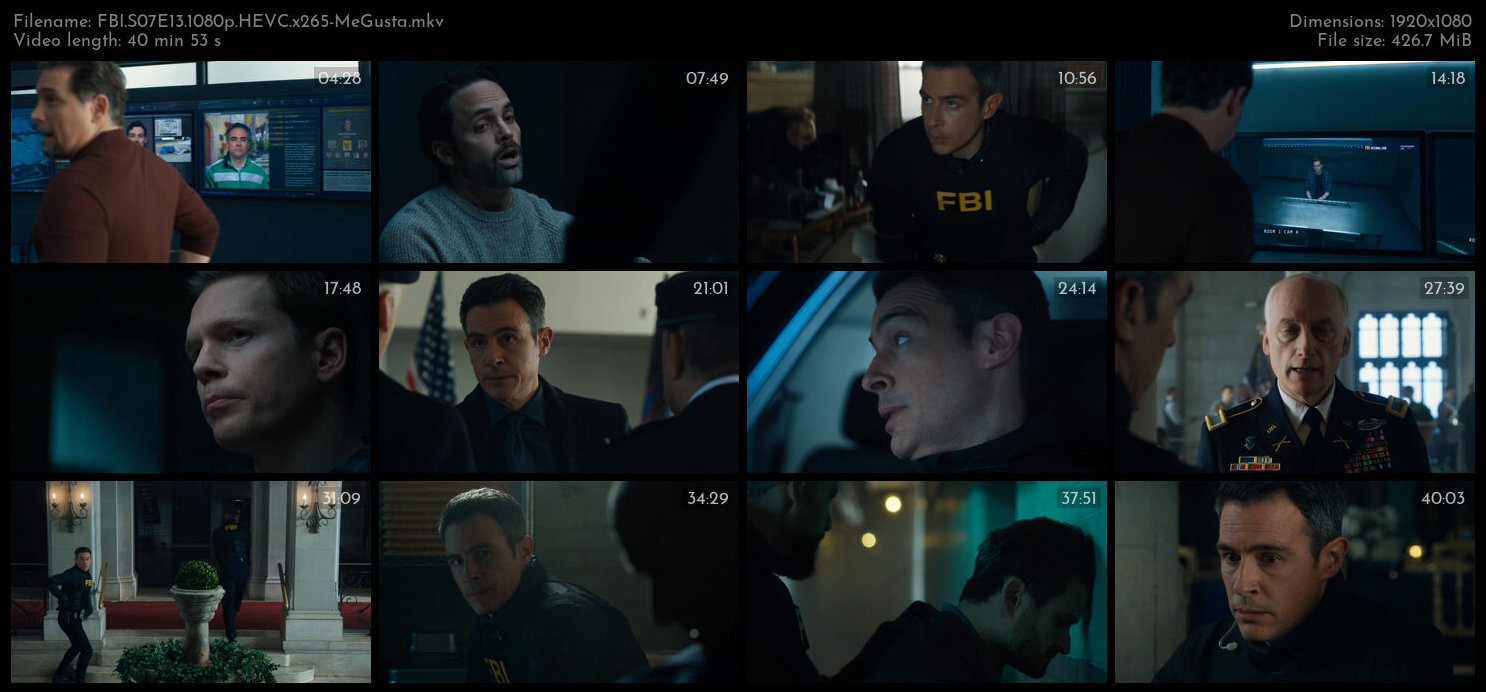 FBI S07E13 1080p HEVC x265 MeGusta TGx