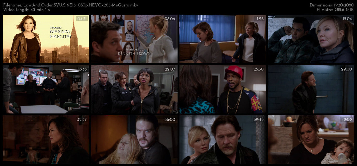 Law And Order SVU S16E15 1080p HEVC x265 MeGusta TGx