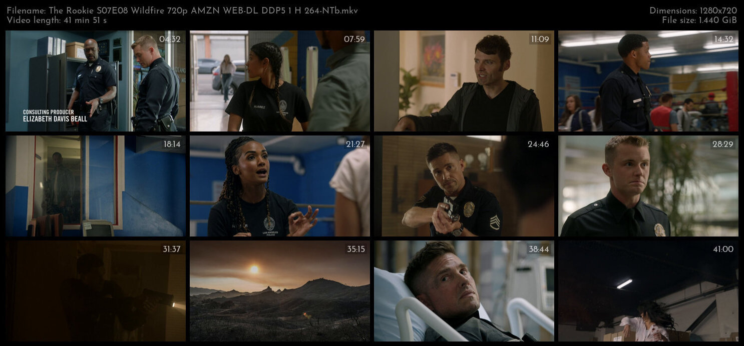 The Rookie S07E08 Wildfire 720p AMZN WEB DL DDP5 1 H 264 NTb TGx