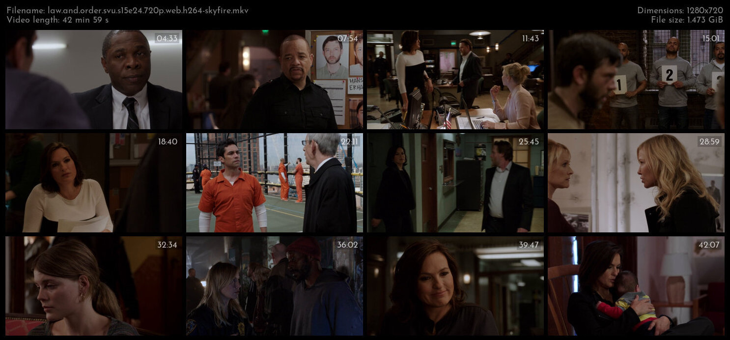 Law And Order SVU S15E24 720p WEB H264 SKYFiRE TGx