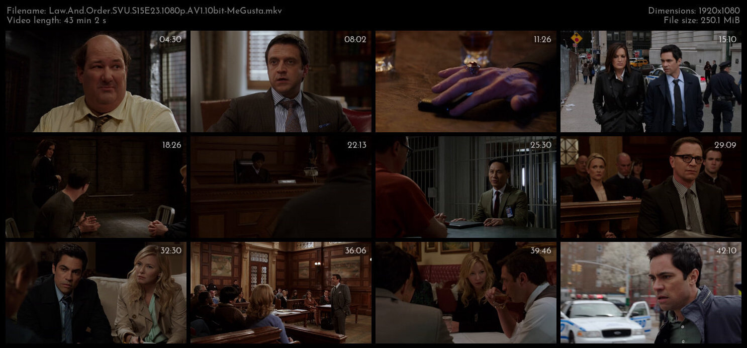 Law And Order SVU S15E23 1080p AV1 10bit MeGusta TGx