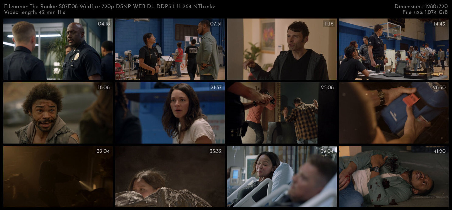 The Rookie S07E08 Wildfire 720p DSNP WEB DL DDP5 1 H 264 NTb TGx