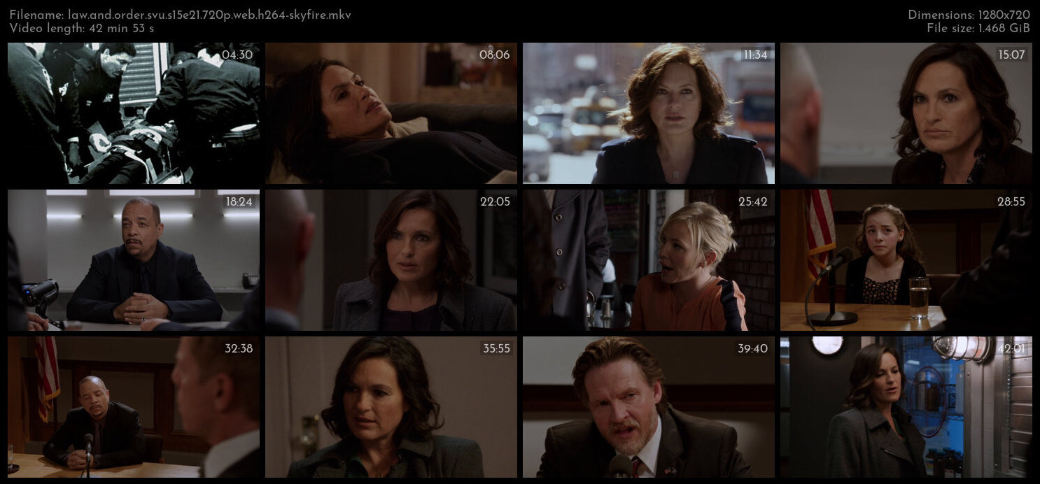 Law And Order SVU S15E21 720p WEB H264 SKYFiRE TGx