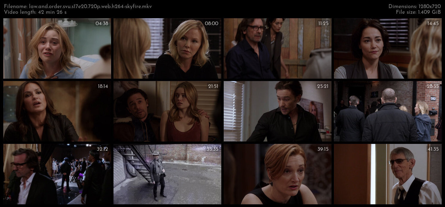 Law And Order SVU S17E20 720p WEB H264 SKYFiRE TGx