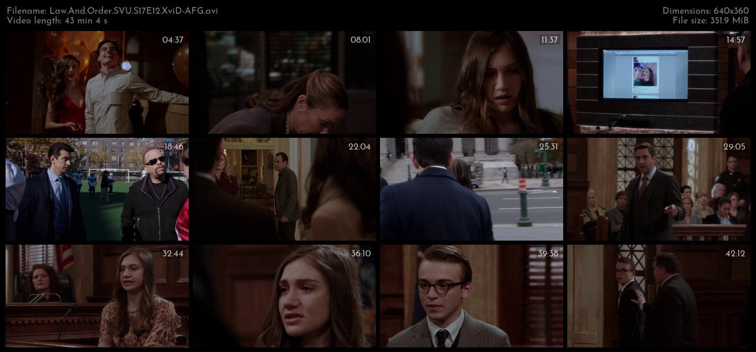 Law And Order SVU S17E12 XviD AFG TGx