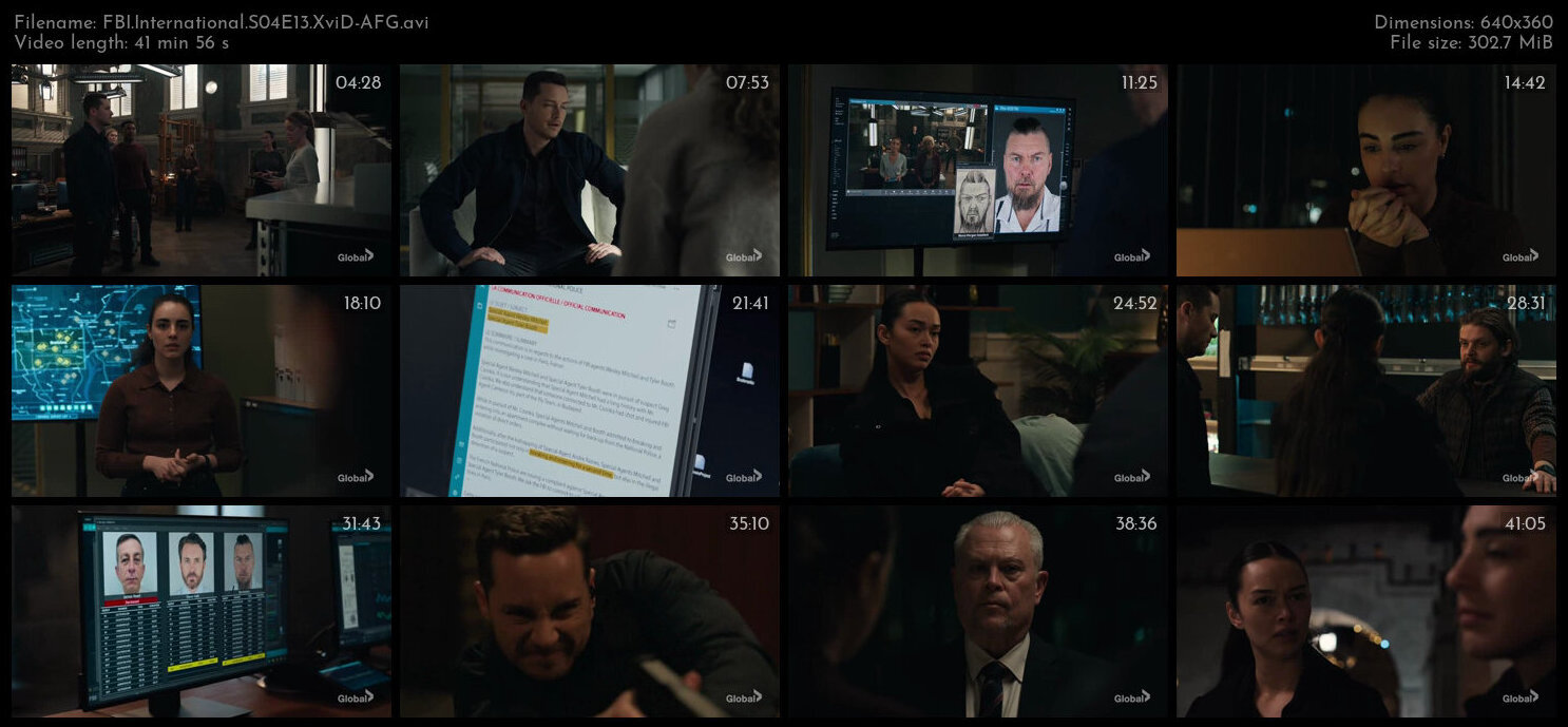 FBI International S04E13 XviD AFG TGx