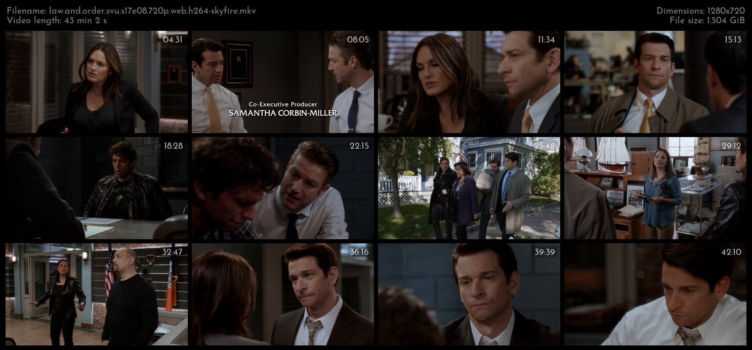 Law And Order SVU S17E08 720p WEB H264 SKYFiRE TGx