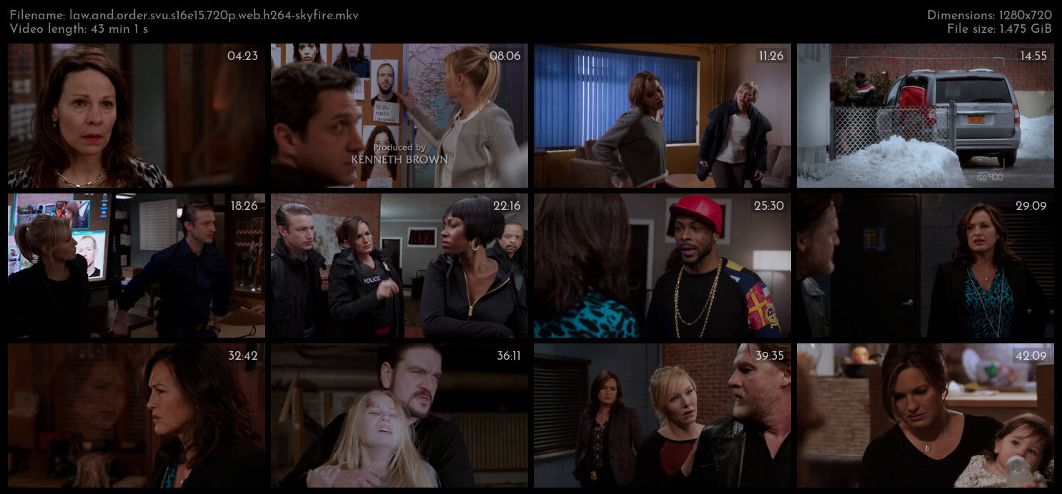 Law And Order SVU S16E15 720p WEB H264 SKYFiRE TGx