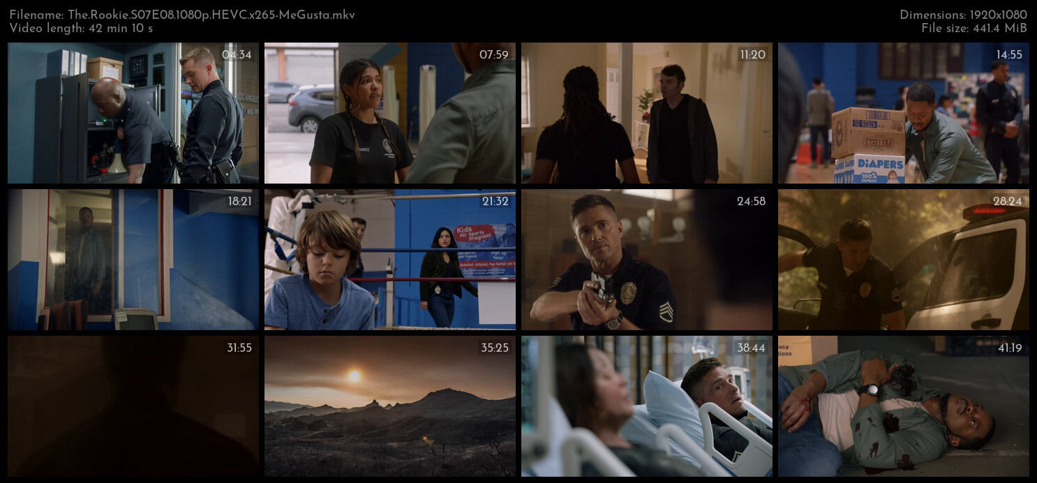 The Rookie S07E08 1080p HEVC x265 MeGusta TGx