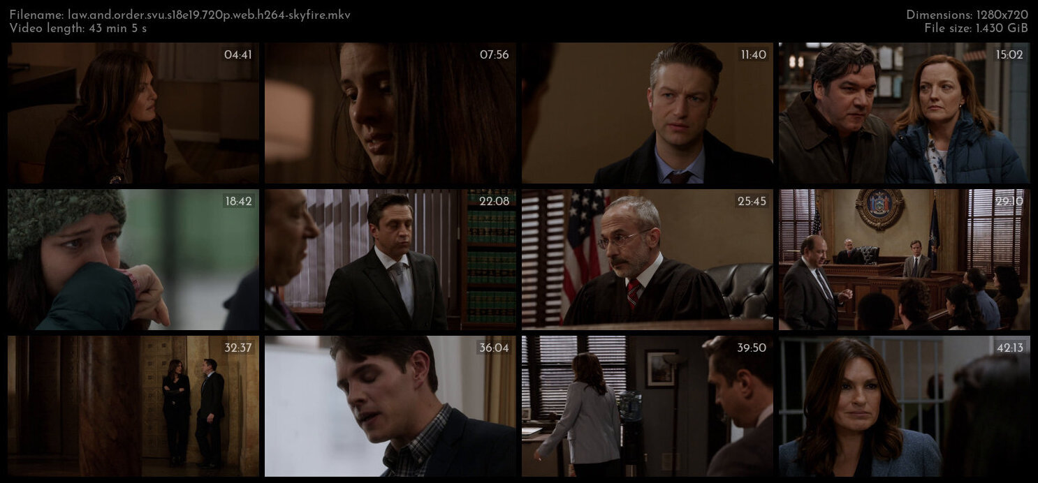 Law And Order SVU S18E19 720p WEB H264 SKYFiRE TGx