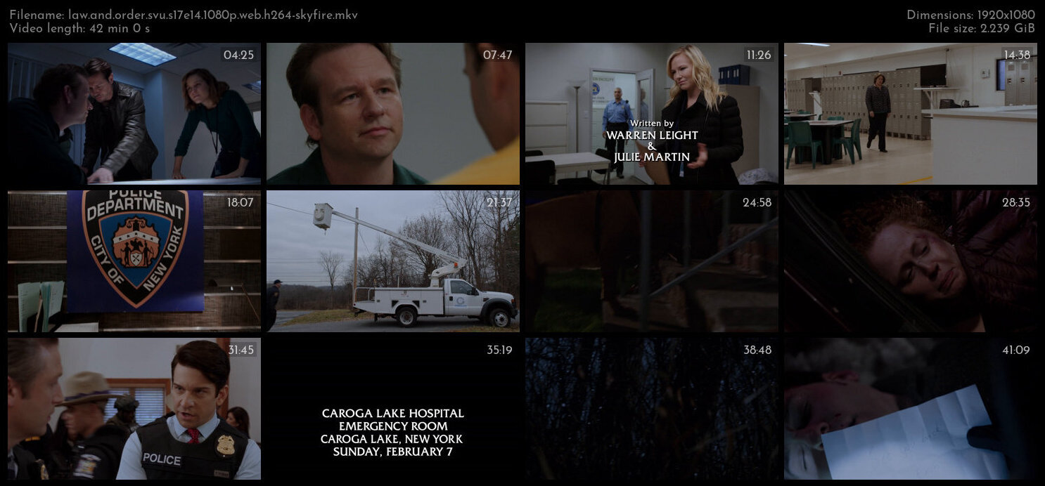 Law And Order SVU S17E14 1080p WEB H264 SKYFiRE TGx