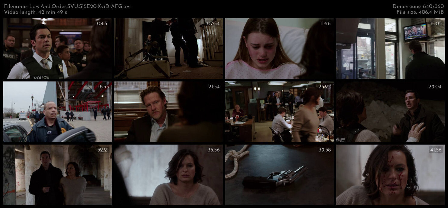 Law And Order SVU S15E20 XviD AFG TGx