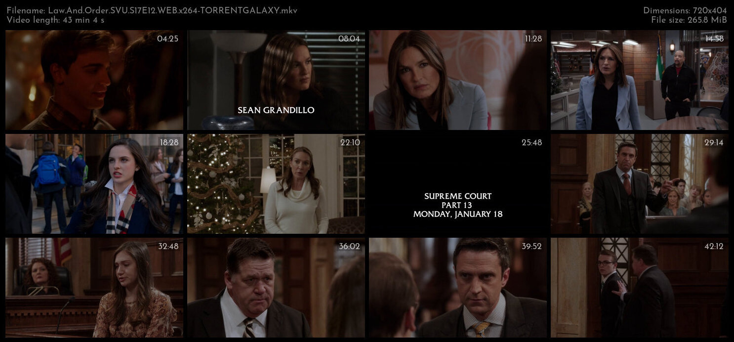 Law And Order SVU S17E12 WEB x264 TORRENTGALAXY