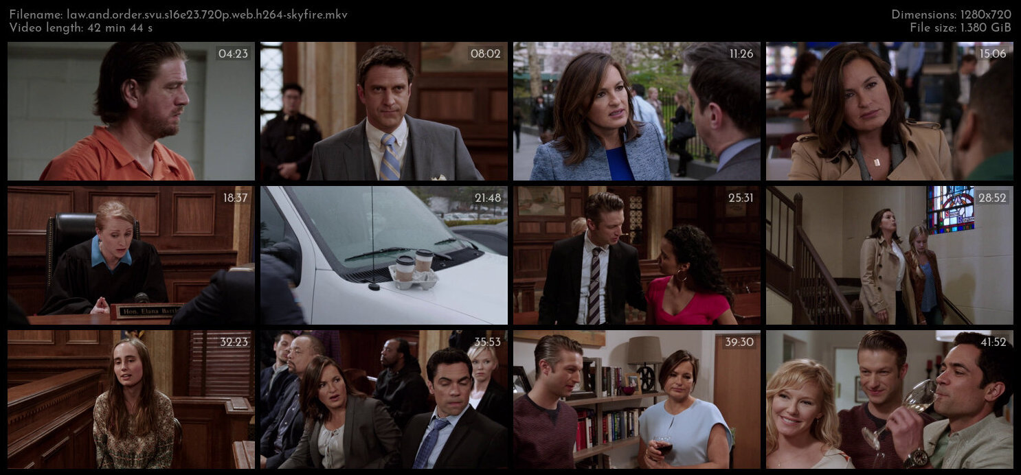 Law And Order SVU S16E23 720p WEB H264 SKYFiRE TGx