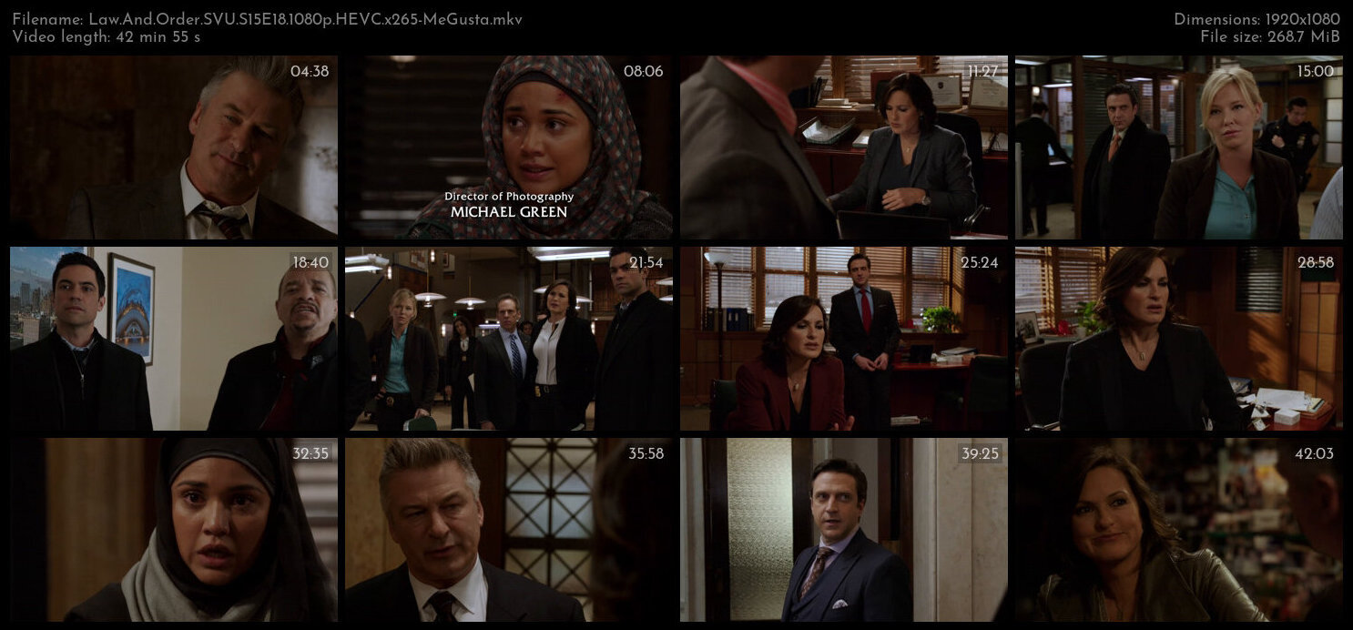 Law And Order SVU S15E18 1080p HEVC x265 MeGusta TGx