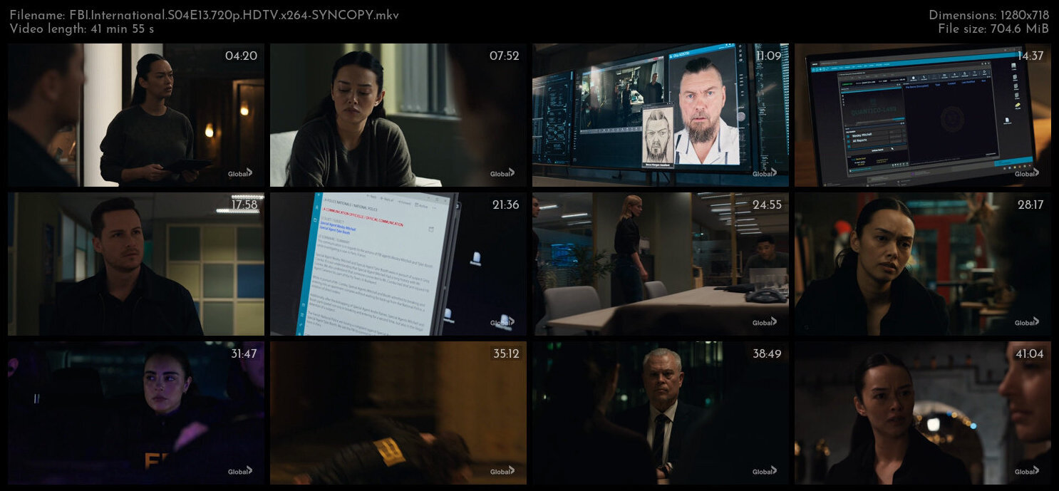 FBI International S04E13 720p HDTV x264 SYNCOPY TGx