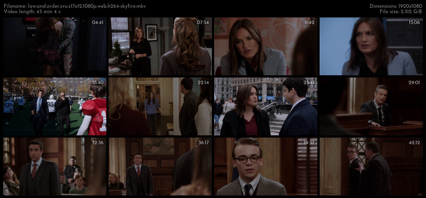 Law And Order SVU S17E12 1080p WEB H264 SKYFiRE TGx