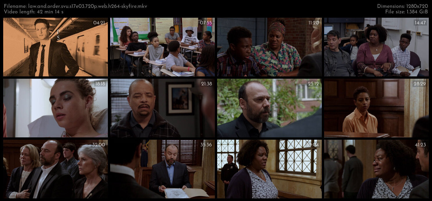 Law And Order SVU S17E03 720p WEB H264 SKYFiRE TGx