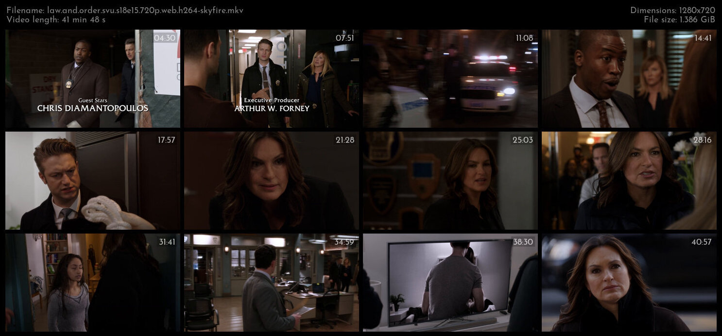 Law And Order SVU S18E15 720p WEB H264 SKYFiRE TGx