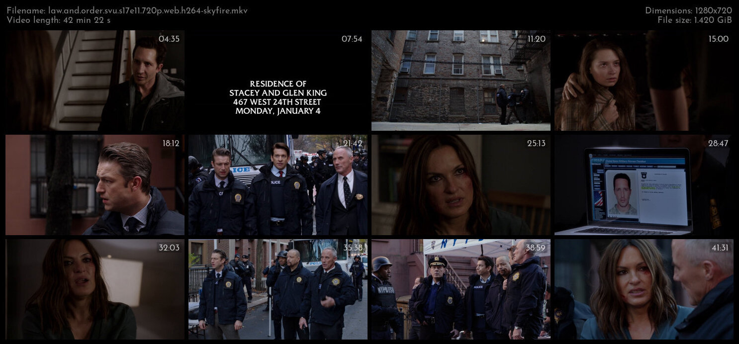 Law And Order SVU S17E11 720p WEB H264 SKYFiRE TGx