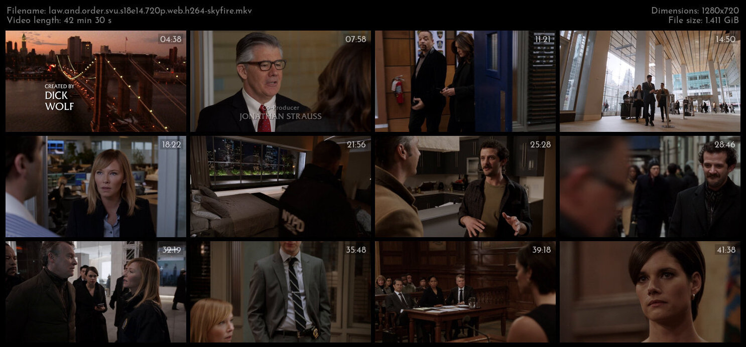 Law And Order SVU S18E14 720p WEB H264 SKYFiRE TGx