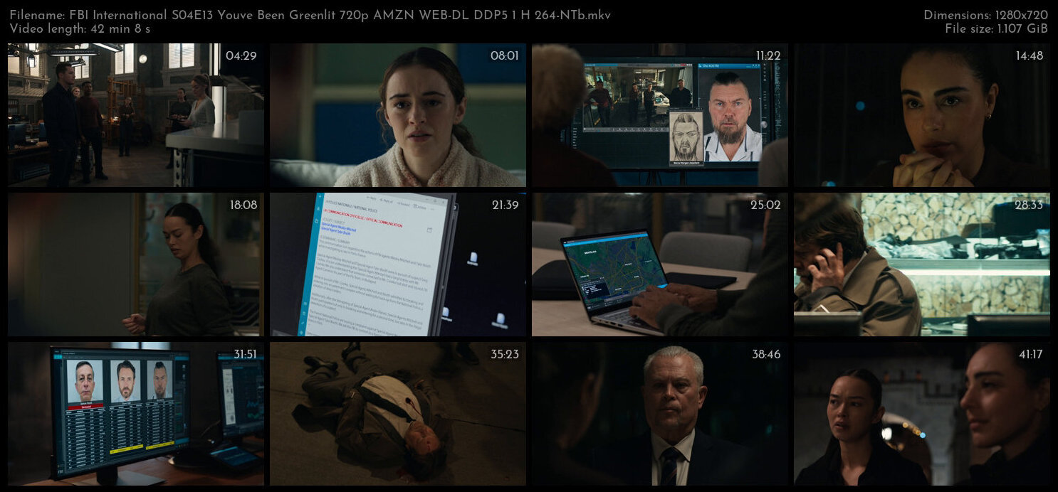 FBI International S04E13 Youve Been Greenlit 720p AMZN WEB DL DDP5 1 H 264 NTb TGx