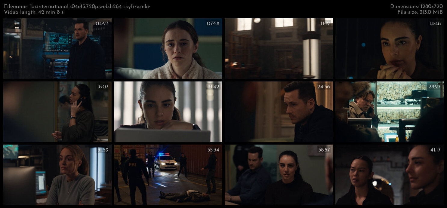 FBI International S04E13 720p WEB H264 SKYFiRE TGx