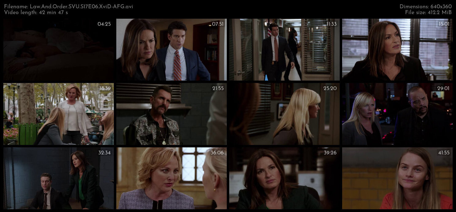 Law And Order SVU S17E06 XviD AFG TGx