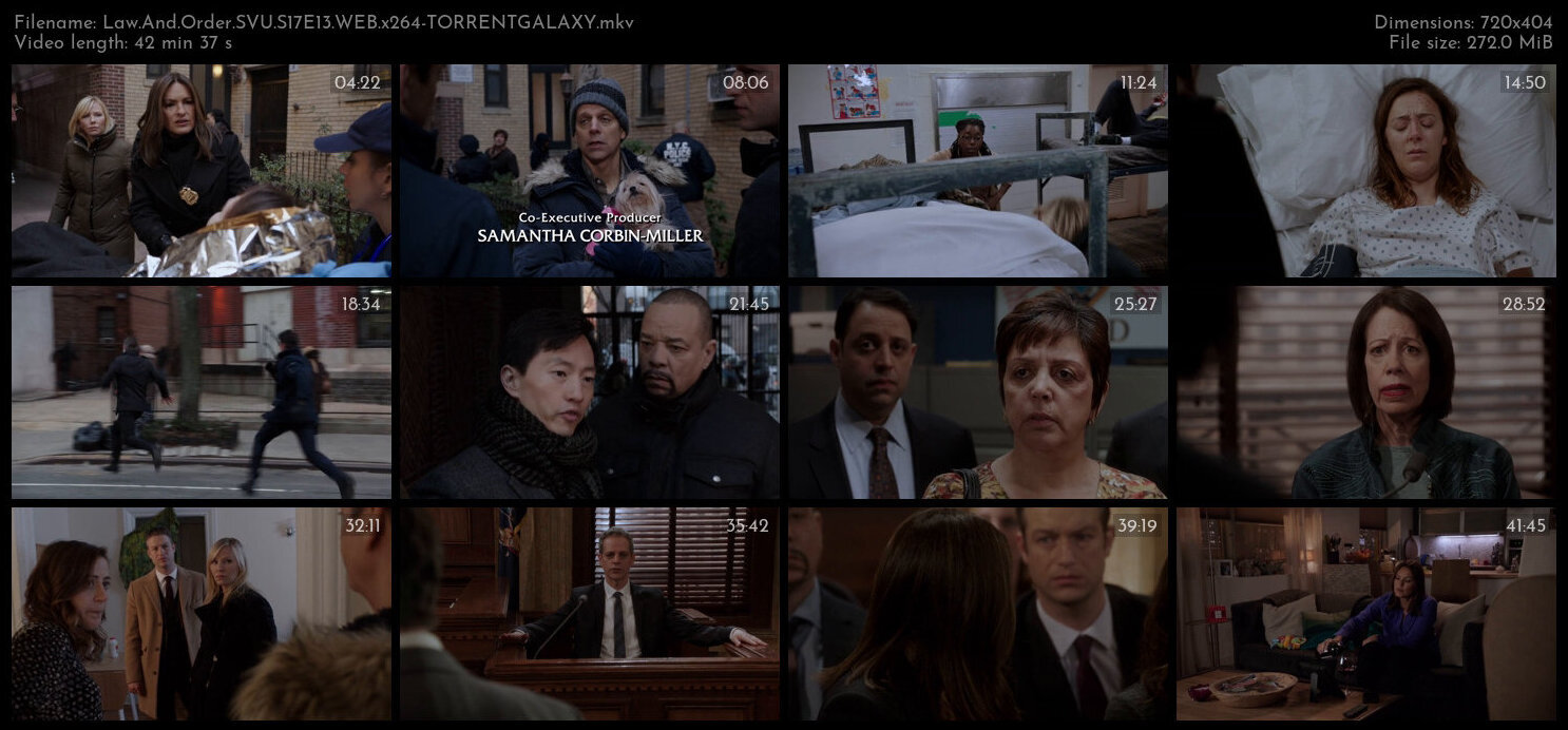 Law And Order SVU S17E13 WEB x264 TORRENTGALAXY