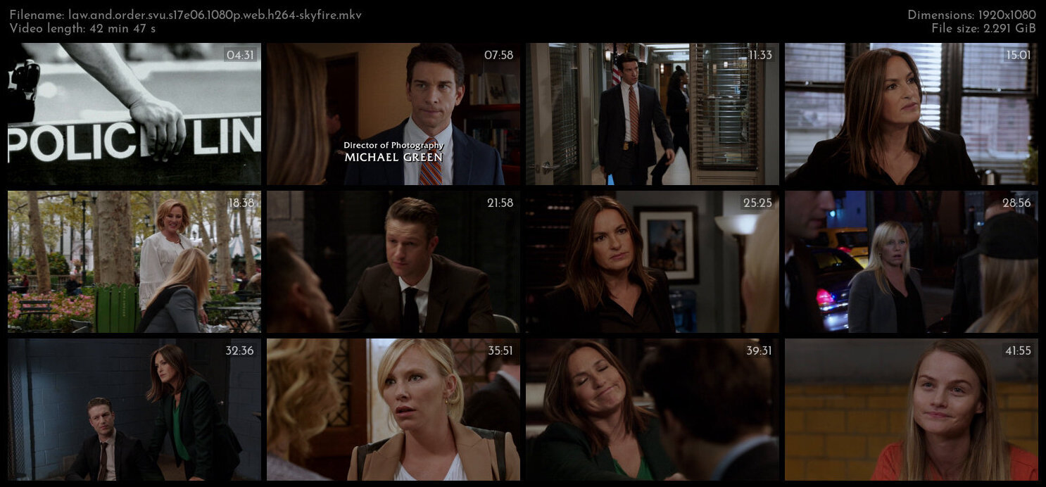 Law And Order SVU S17E06 1080p WEB H264 SKYFiRE TGx