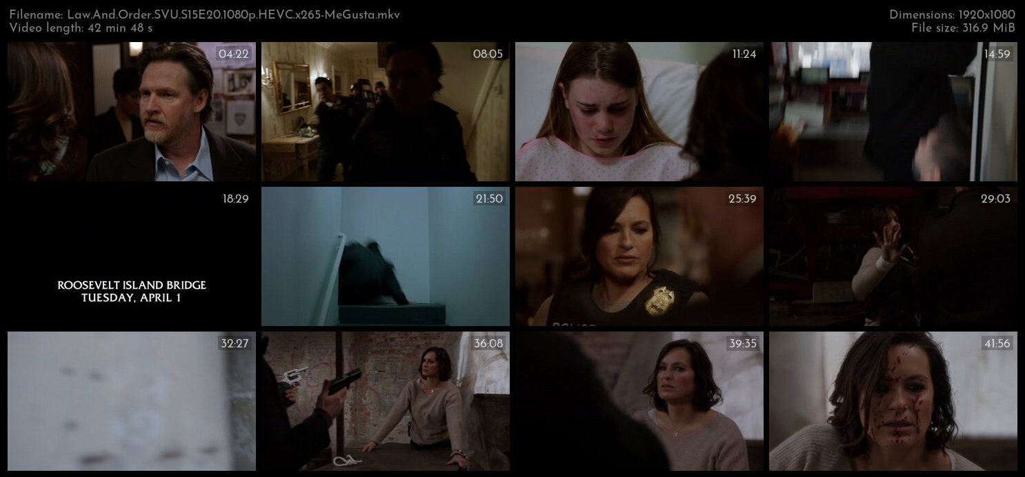 Law And Order SVU S15E20 1080p HEVC x265 MeGusta TGx