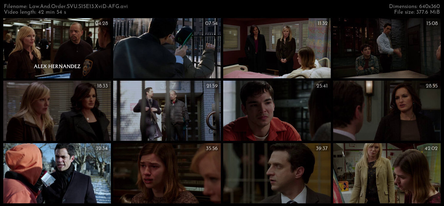 Law And Order SVU S15E13 XviD AFG TGx