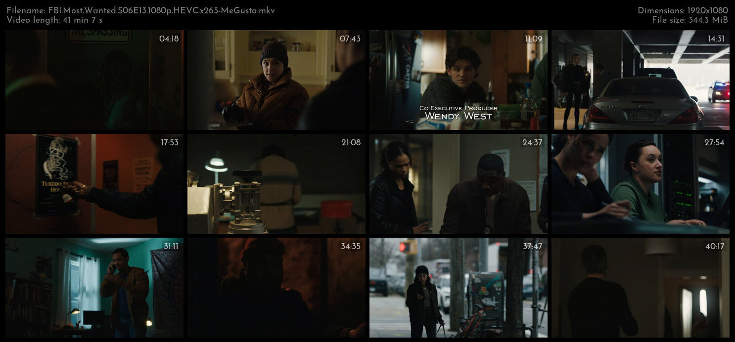 FBI Most Wanted S06E13 1080p HEVC x265 MeGusta TGx