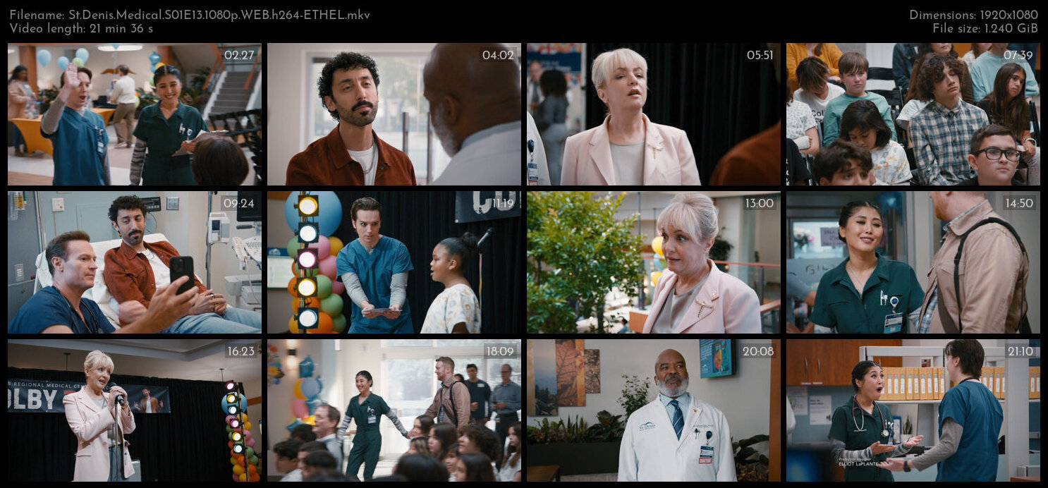 St Denis Medical S01E13 1080p WEB h264 ETHEL TGx