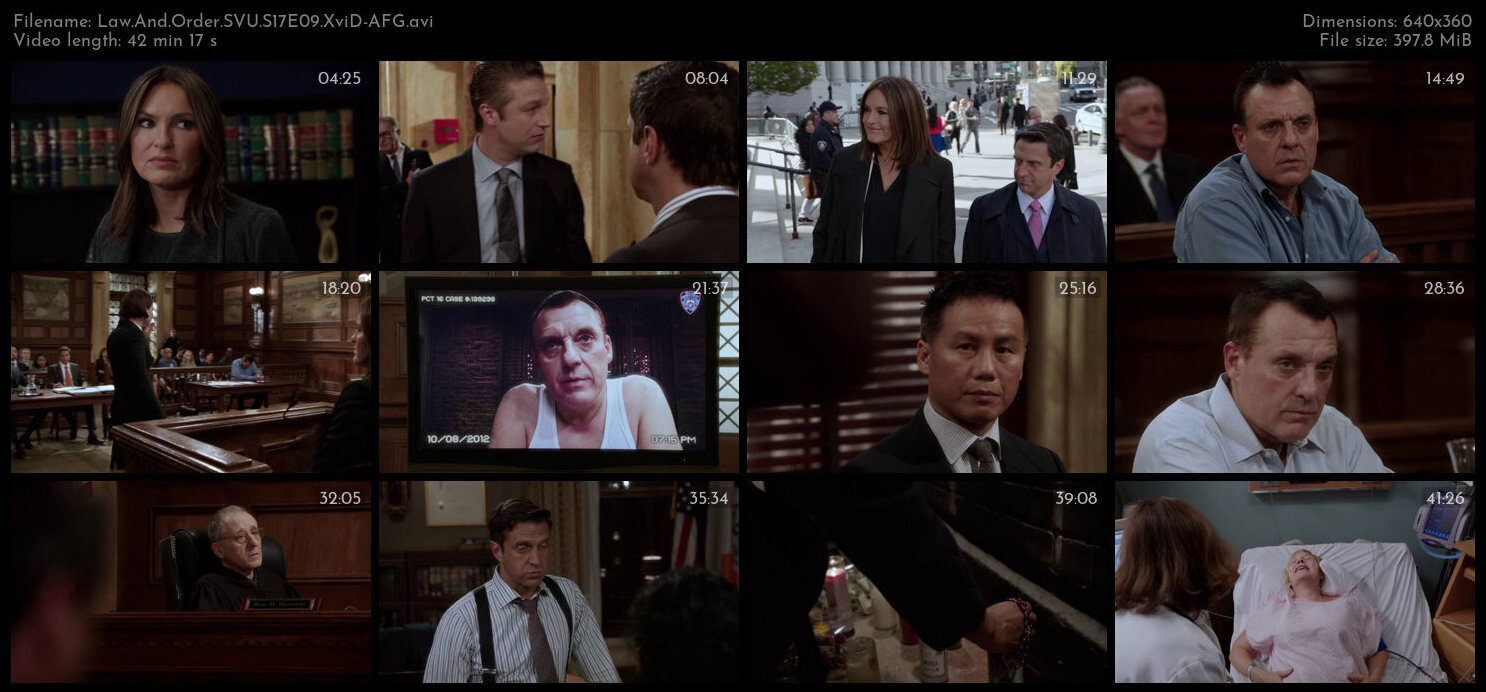 Law And Order SVU S17E09 XviD AFG TGx