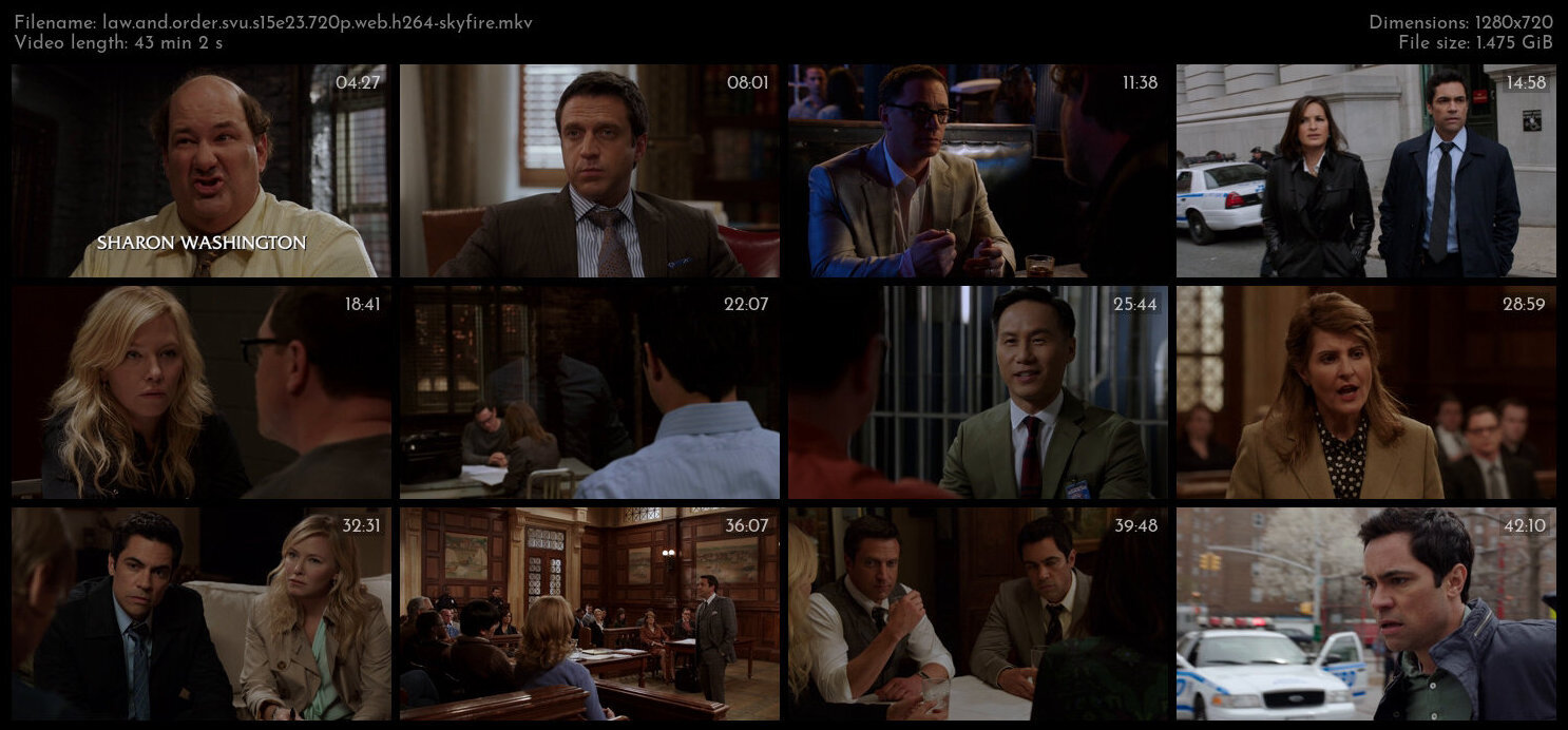 Law And Order SVU S15E23 720p WEB H264 SKYFiRE TGx