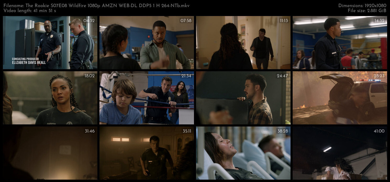 The Rookie S07E08 Wildfire 1080p AMZN WEB DL DDP5 1 H 264 NTb TGx