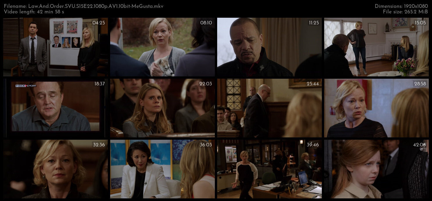 Law And Order SVU S15E22 1080p AV1 10bit MeGusta TGx