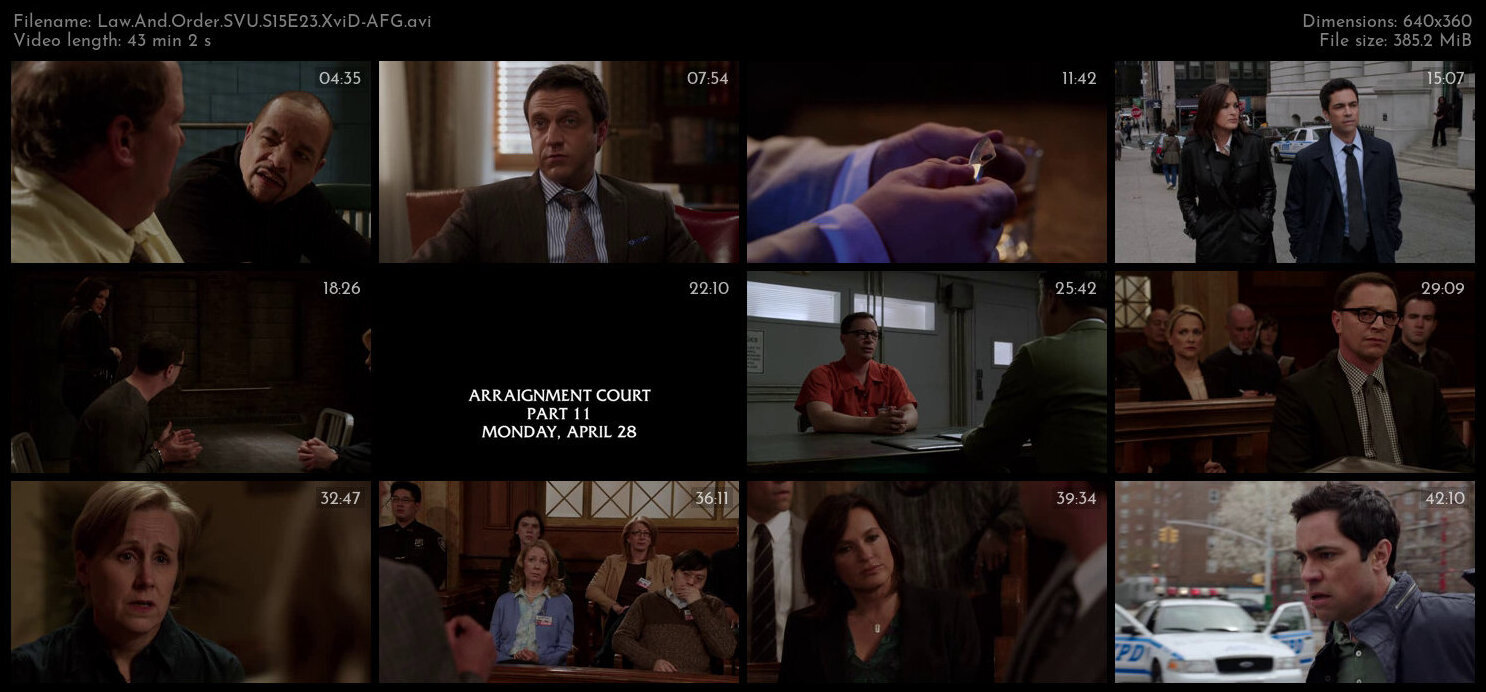 Law And Order SVU S15E23 XviD AFG TGx