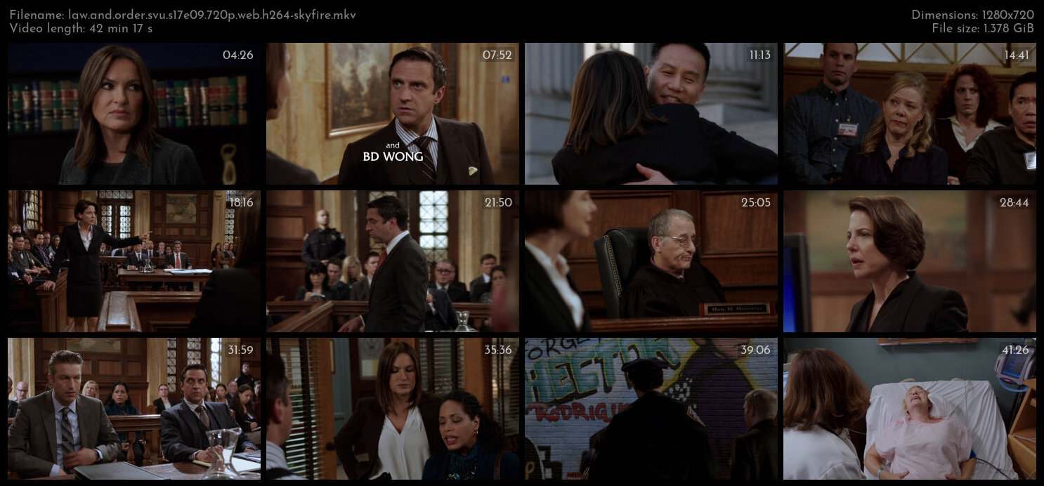 Law And Order SVU S17E09 720p WEB H264 SKYFiRE TGx