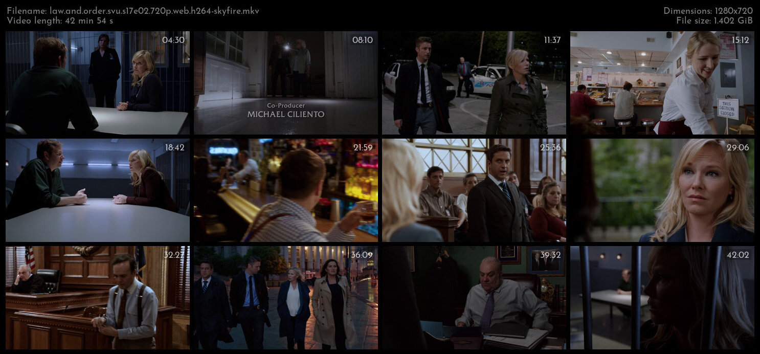 Law And Order SVU S17E02 720p WEB H264 SKYFiRE TGx