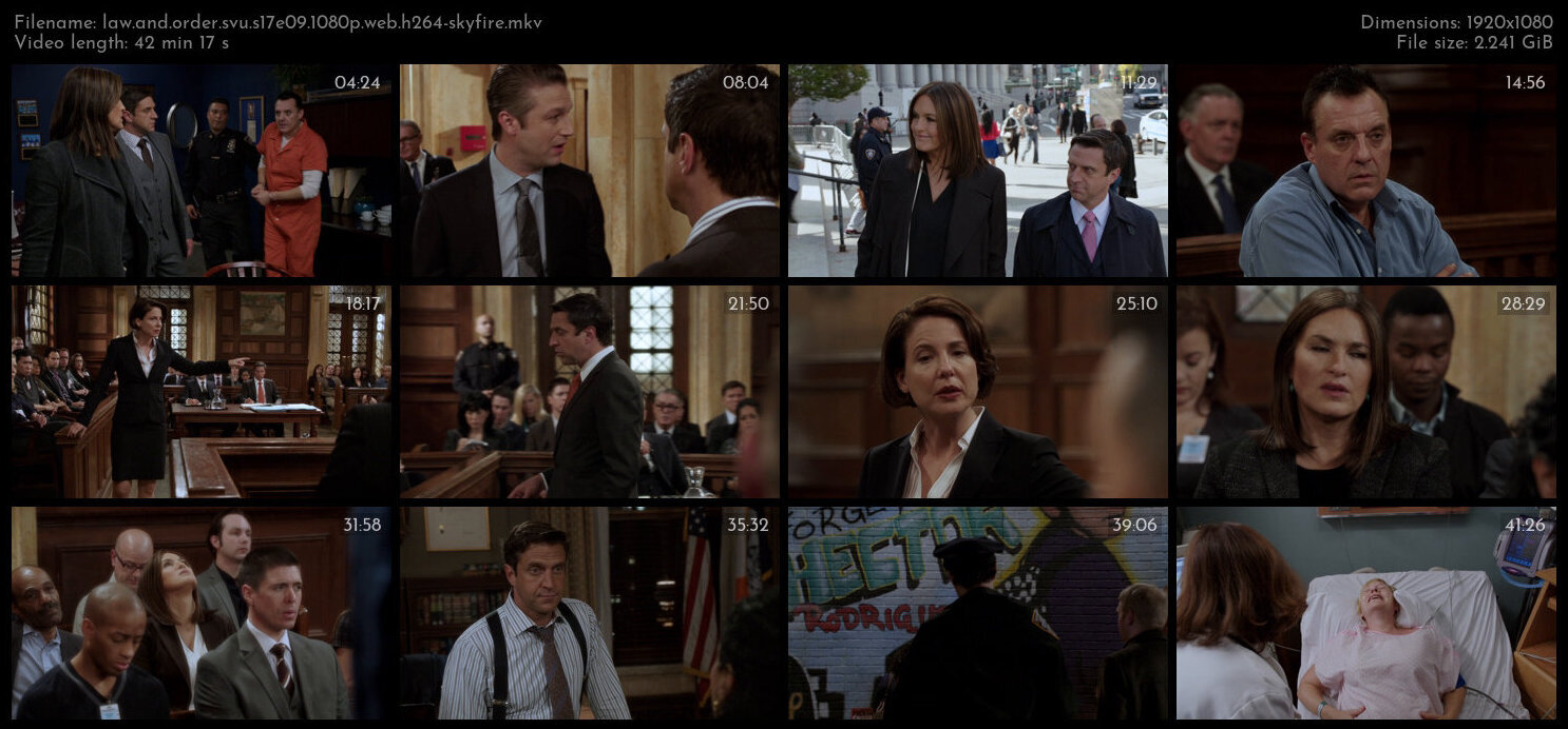 Law And Order SVU S17E09 1080p WEB H264 SKYFiRE TGx