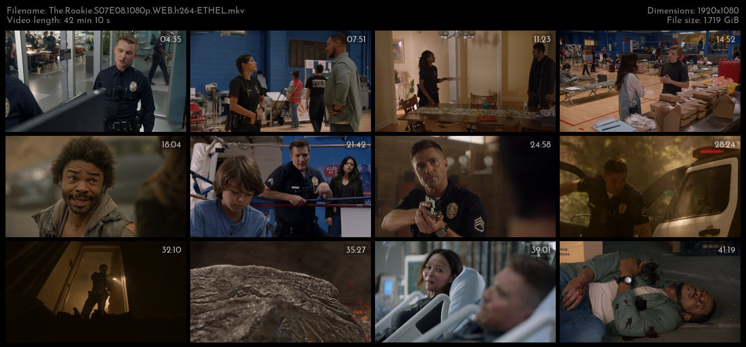 The Rookie S07E08 1080p WEB h264 ETHEL TGx